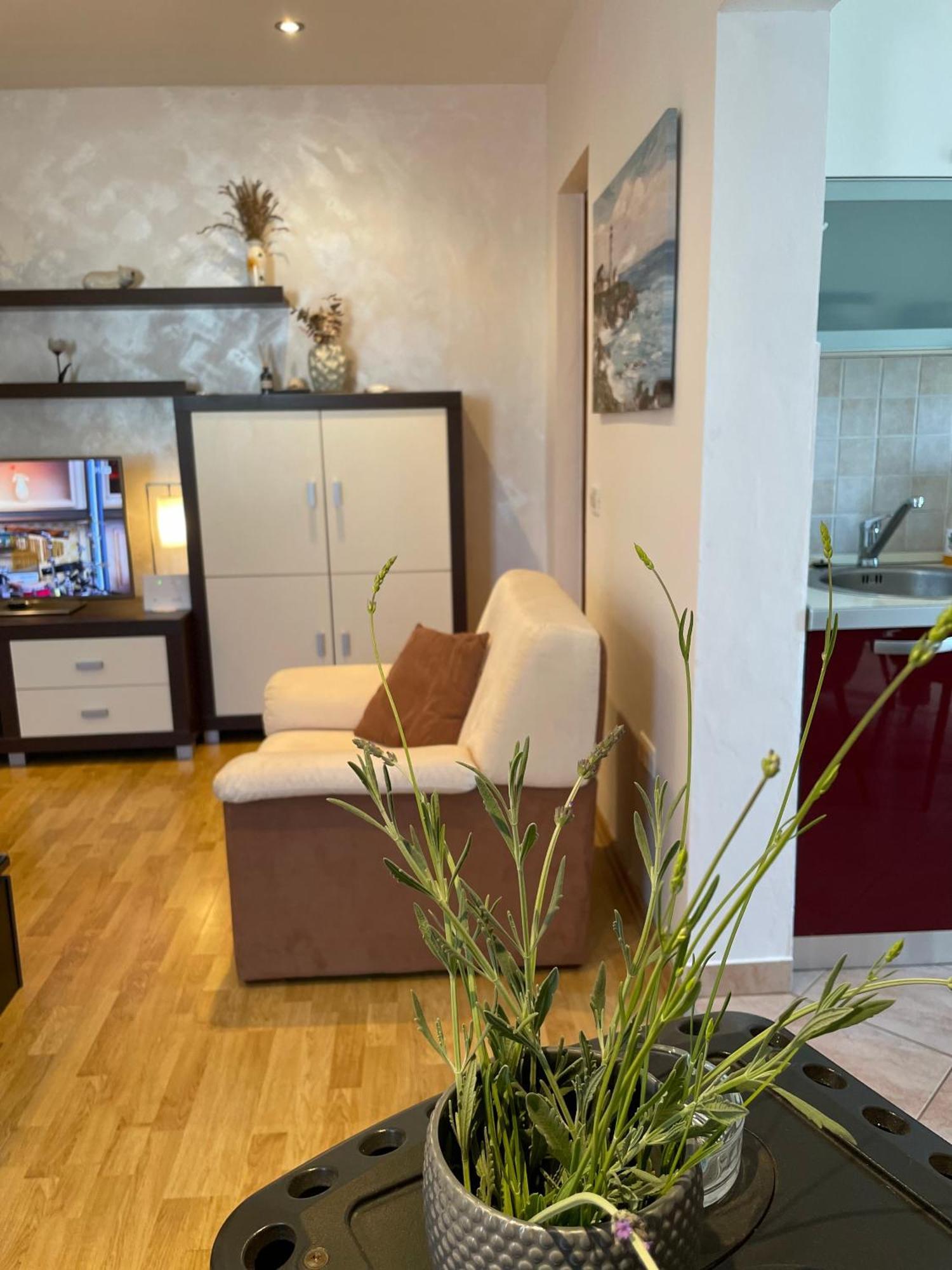 Denis Apartment Zdrelac Luaran gambar